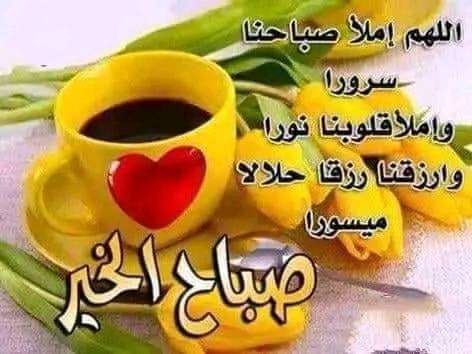 Mohamed Gr_zBoX9